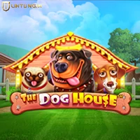 RTP Slot Pragmatic dog house